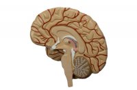 fotolia_10457061_xs