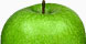 Online Marketing & Wellness Business