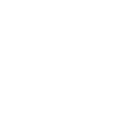 Icon Shopping Cart